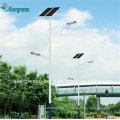 Fuente De Fábrica Profesional Excelente Calidad Separada Solar LED Street Light Del fabricante